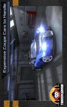 Street Thunder 3D Night Race游戏截图1