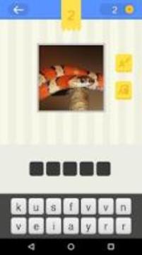 Crazy Picture Quiz Free游戏截图2