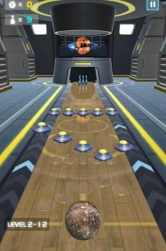 保龄球之星游戏截图4