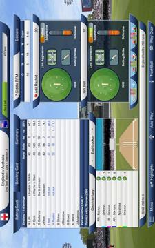 国际板球2015游戏截图2