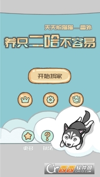 养只二哈不容易看提示游戏截图1