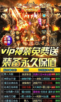 vip神装传奇游戏截图3