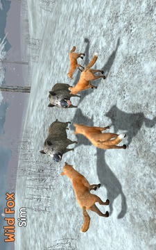 Wild Fox Sim 3D游戏截图6