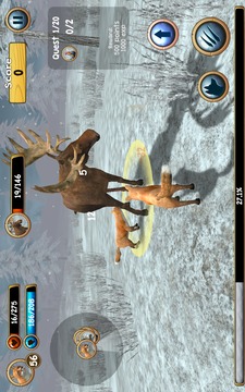 Wild Fox Sim 3D游戏截图3