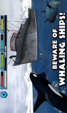 虎鲸模拟游戏截图4