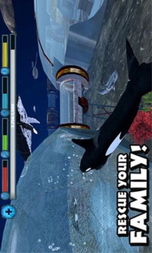 虎鲸模拟游戏截图2
