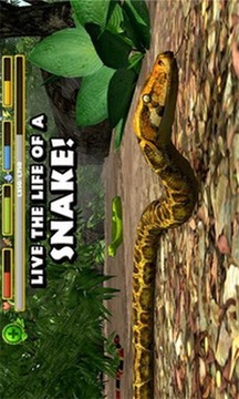 蟒蛇模拟器游戏截图1
