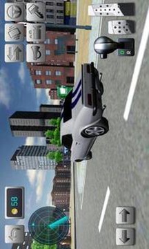 开车模拟器游戏截图3