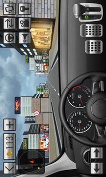 驾驶的汽车模拟器游戏截图1