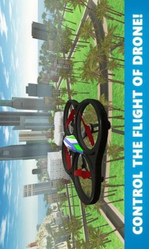 RC Quadcopter Drone Sim 3D游戏截图3