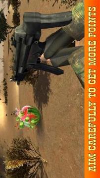 Watermelon Shooter - Shooting Range Master游戏截图3