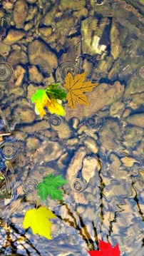 Toddler Game Water Ripple Leaf游戏截图2