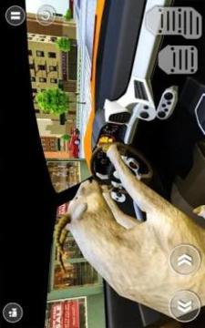 Crazy Goat Car Driving simulator游戏截图5