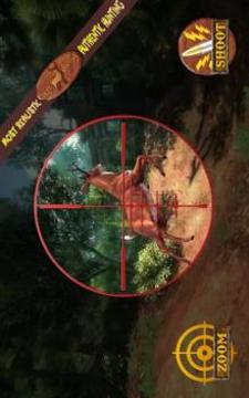 Safari Survival Deer Hunter Sniper Game 2017 Free游戏截图5