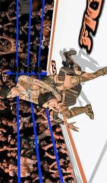 Women Wrestling Revolution 3D:Real Ring Fighting游戏截图3