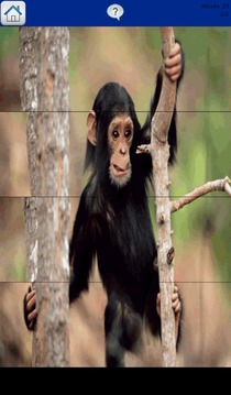 Monkey Puzzle for Kids游戏截图3