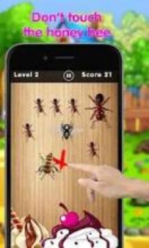 Ant Smasher - Bug Smasher游戏截图4