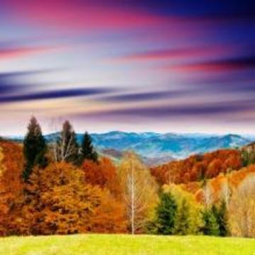 Autumn Jigsaw Puzzles Free游戏截图1