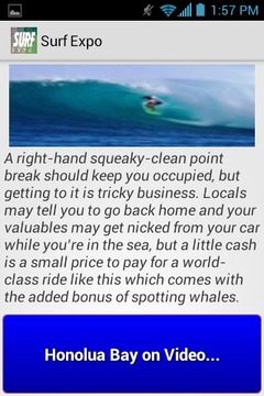 Surf Expo游戏截图2