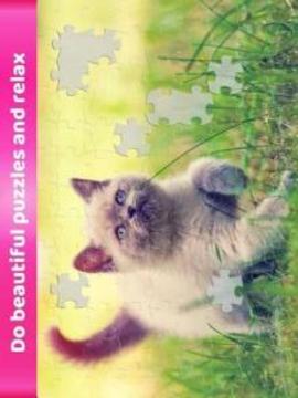 Kittens Jigsaw Puzzles - Free Puzzle Games游戏截图3