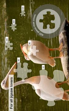 Lake Bird Jigsaw Puzzles游戏截图2