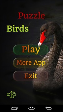 Puzzle Birds游戏截图1