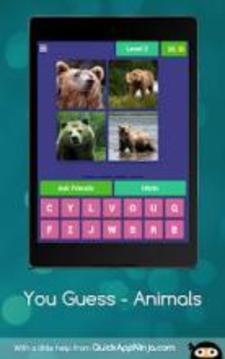 You Guess - Animals游戏截图5