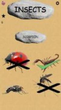 Insects - Learning Insects. Practice Test Sound游戏截图1