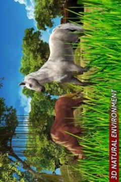 Virtual Horse Family Jungle Simulator游戏截图1