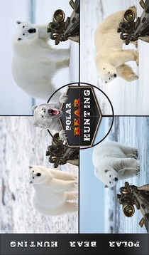Angry Wild Bear - Polar Bear Hunting 2018游戏截图5