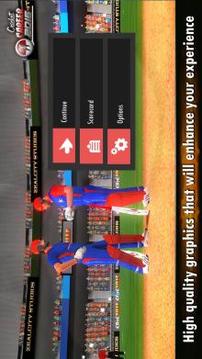 Cricket Career 2016游戏截图5