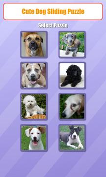 Cute Dog Sliding Puzzle游戏截图1