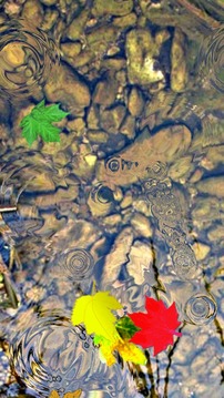 Toddler Game Water Ripple Leaf游戏截图4