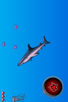 Shark Rush游戏截图4