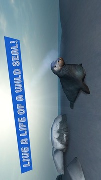 Seal Survival Simulator 3D游戏截图1