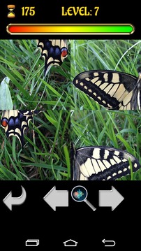 Puzzle Butterfly 2015 Free游戏截图2