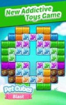 Pet Cubes Blast游戏截图2