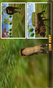 Lion Sniper Hunting 3D游戏截图5