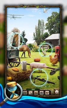 Hidden Mystery: Farm Secrets游戏截图2