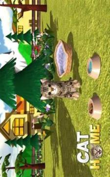 Cat Home : Kitten Daycare & Kitty Care Hotel游戏截图1