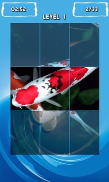 Fancy Koi Fish Puzzle Game游戏截图3