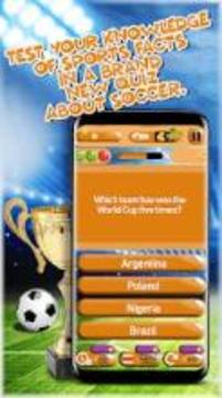 World Soccer Cup Quiz游戏截图3