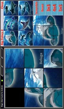Magic Slide Puzzle B Fishes 2游戏截图1