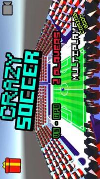Funny soccer 3d游戏截图1