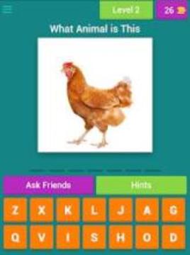 Animal Lover Quiz游戏截图5