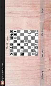 Famous Chess Game游戏截图2