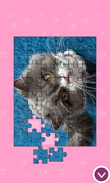 Cats - Jigsaw Puzzles游戏截图2