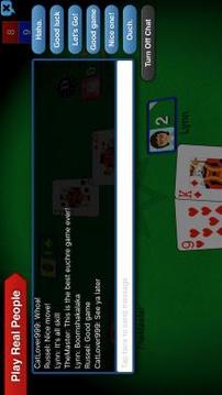 Euchre 3D游戏截图5