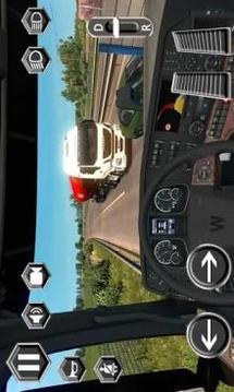 Real Truck Driver Driving Sim 3D游戏截图4