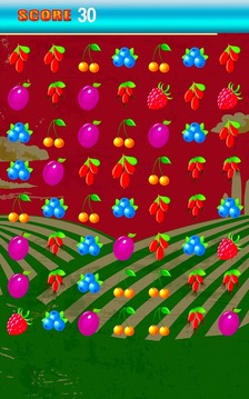 Fruit Fever Rush Match Puzzle游戏截图5